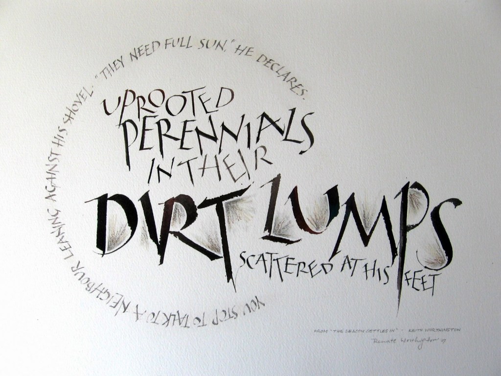 excerpt from The Season Settles In - capitals